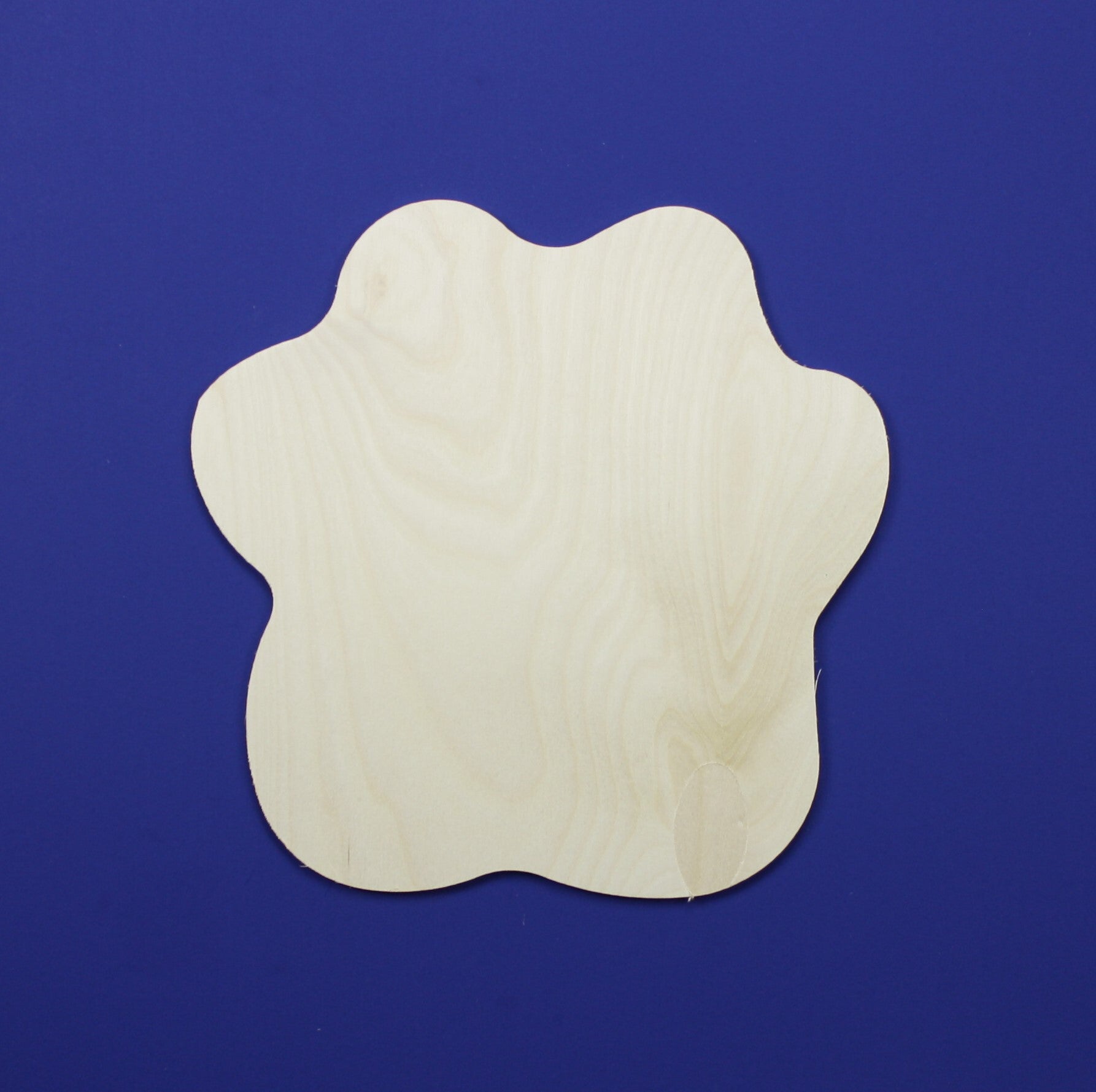 Sand Dollar Wooden Cutouts for crafts, Laser Cut Wood Shapes 5mm thick  Baltic Birch Wood, Multiple Sizes Available